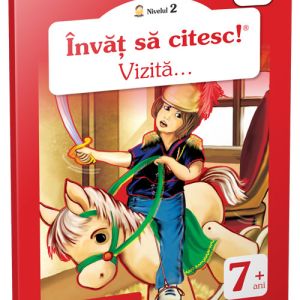 Vizită