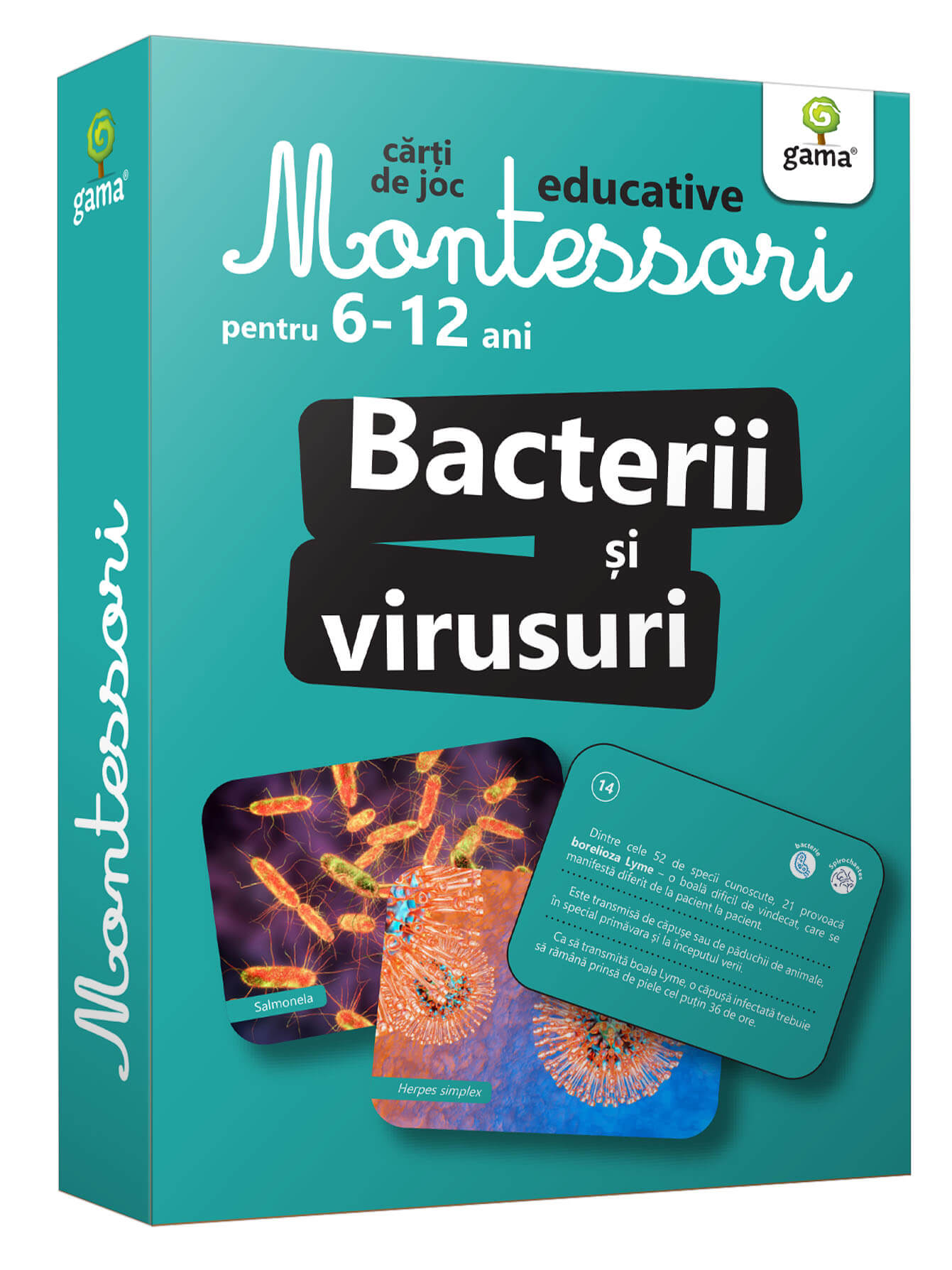 cutie_-_bacterii_si_virusuri